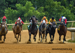 Cheval Coup Sur du Jour