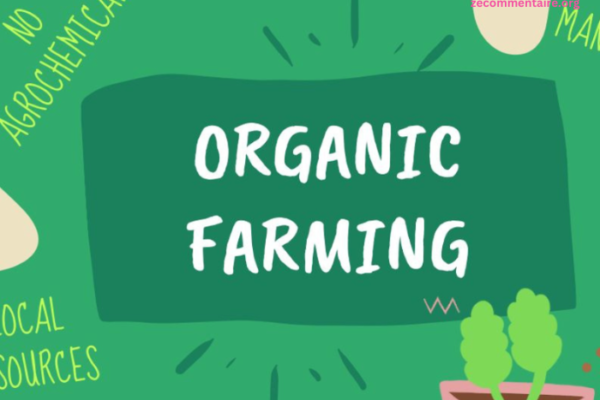 Eco-Farming and Biodiversity: How Organic Practices Can Promote a Healthier Ecosystem