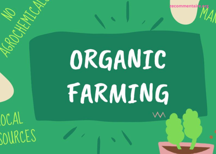 Eco-Farming and Biodiversity: How Organic Practices Can Promote a Healthier Ecosystem