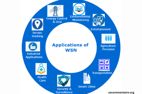 Overview of Wireless Sensor Networks and Their Applications