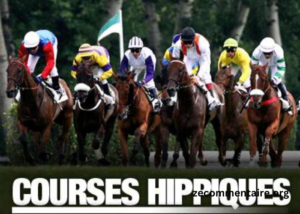 100pour100 Quinteplus