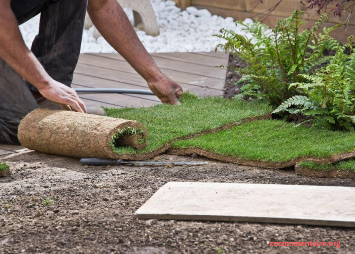Eco-Friendly Practices for Landscape Maintenance Professionals