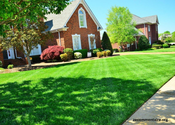 Seasonal Solutions: How Summer Lawn Fertilizer Can Transform Your Yard