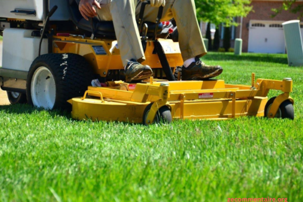 The Benefits of Bagging Grass Clippings and How to Do it Right