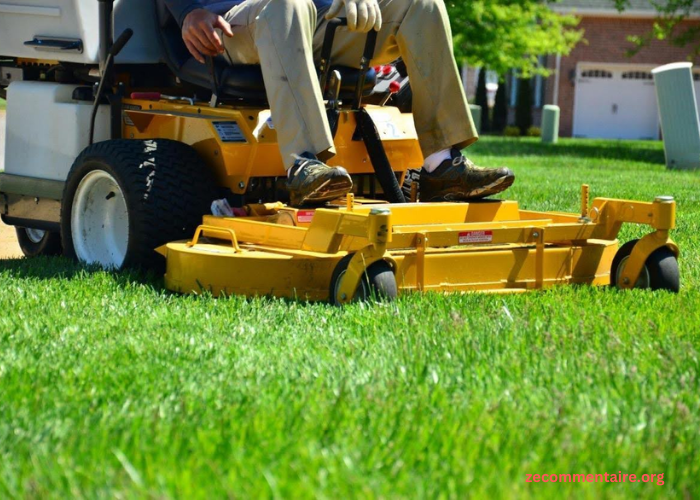 The Benefits of Bagging Grass Clippings and How to Do it Right