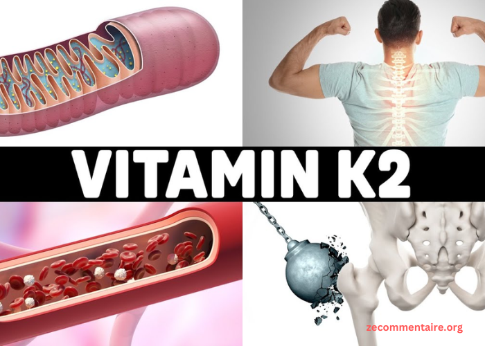 The Secret to Strong Bones: The Importance of Vitamin K2