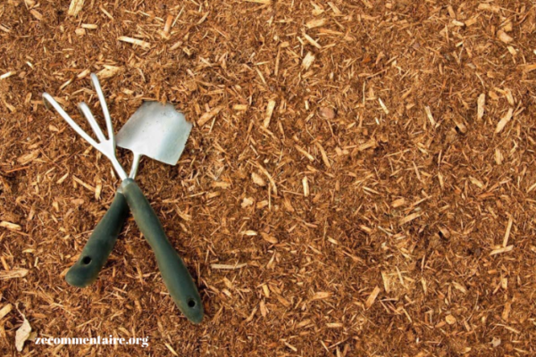 Landscaping Showdown: Mulch vs Pine Straw in the Battle for Curb Appeal