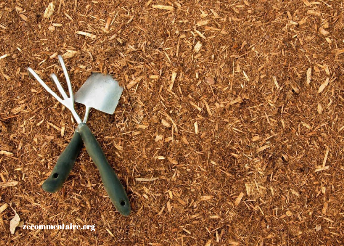 Landscaping Showdown: Mulch vs Pine Straw in the Battle for Curb Appeal
