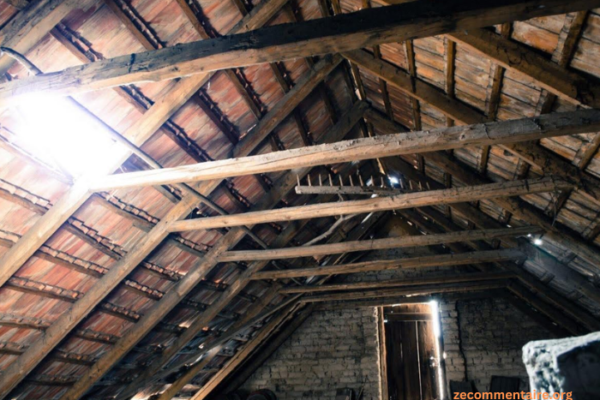 DIY vs Professional Attic Mold Remediation: Which Route Is Right For You?