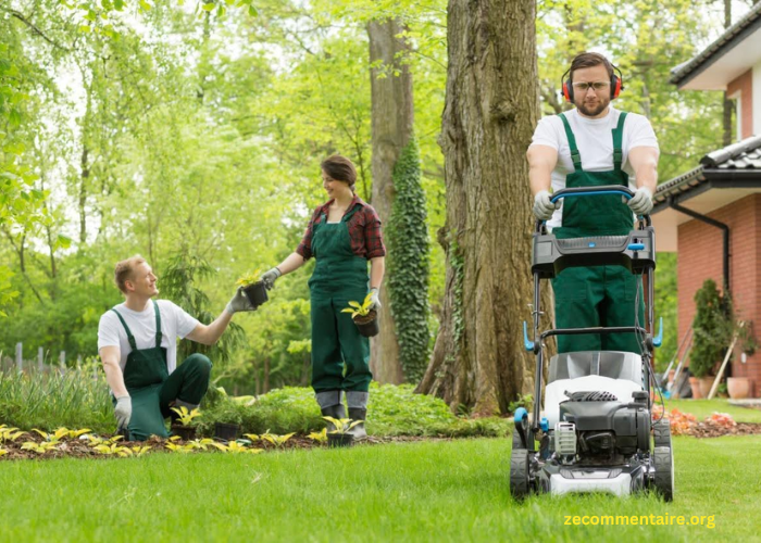How Custom Lawn Care Can Improve Your Home’s Curb Appeal