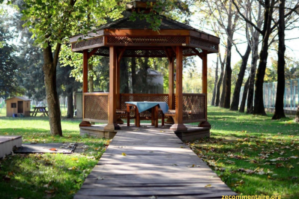 How to Design the Perfect Pergola for Your Dream Backyard