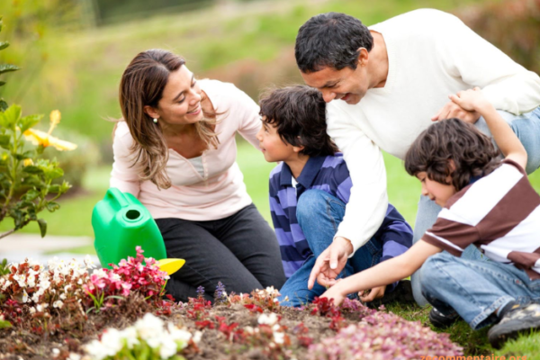 The Family Garden: A Source of Stress Relief and Mental Wellness