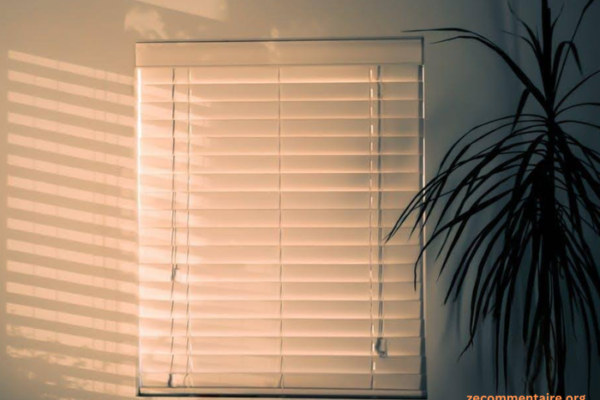 Upgrade Your Home’s Style with Modern Window Treatments