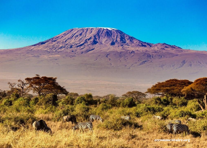 The Best Mount Kilimanjaro Tour Operators for Every Adventurer From First-Timers to Experienced Climbers