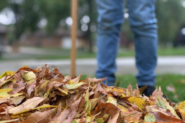 How to Prepare for Emergency Clean Up Services Before a Storm Hits