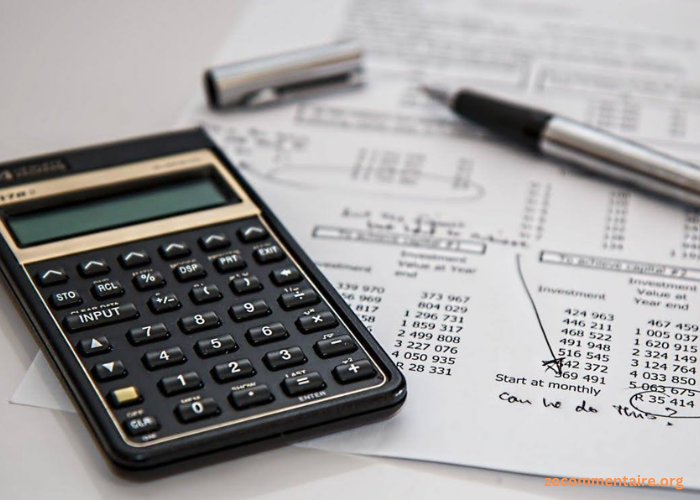 Mastering Taxes: Exploring Tax Consultancy Services