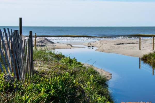 Sail Away: Myrtle Beach Boat Tours Guide