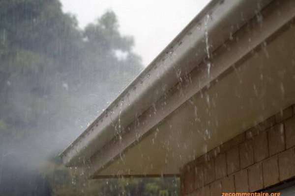 Top Signs That You Need to Schedule a Roof and Gutter Cleaning Service