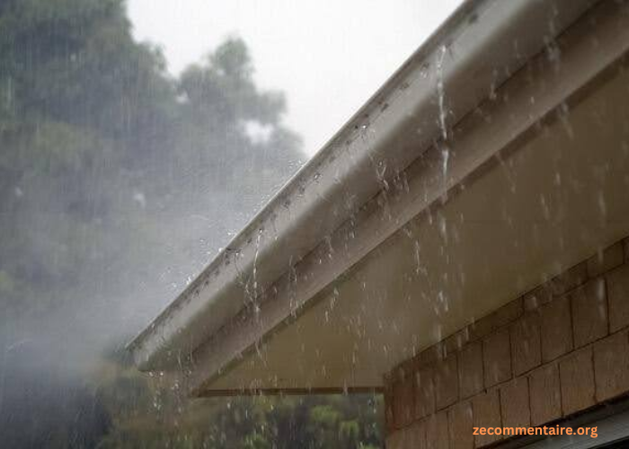 Top Signs That You Need to Schedule a Roof and Gutter Cleaning Service