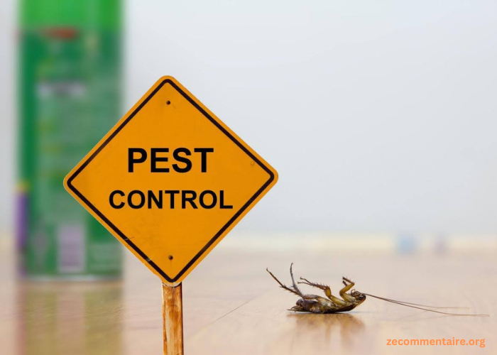 When to Call for Emergency Pest Control Services: Understanding the Warning Signs