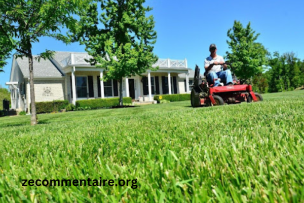 Why Investing in Professional Residential Landscape Maintenance is Worth It