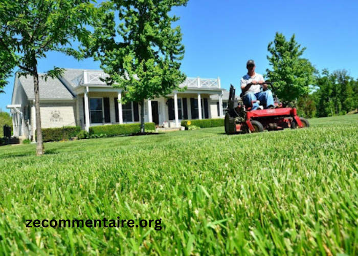 Why Investing in Professional Residential Landscape Maintenance is Worth It