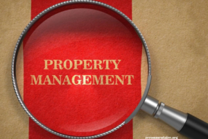 Maximizing Profitability: Tips for Efficiently Starting Your Pro Property Management Business