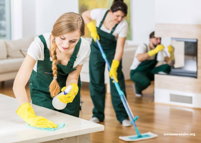 Why Hiring Professional Cleaners is a Must for Modern Ranch Homes