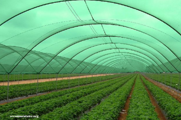 The Importance Of Nursery Shade Net