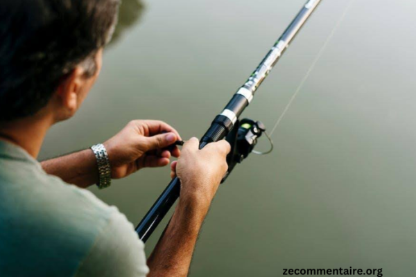 Choosing the Best Fly Fishing Rod for Your Destination From Rivers to Oceans