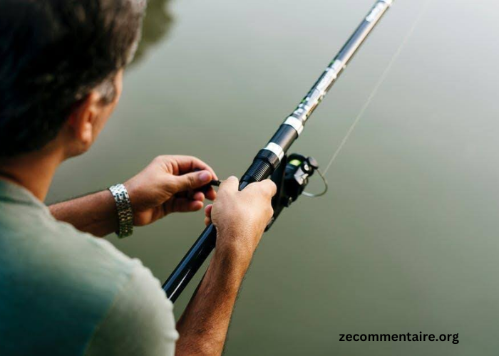 Choosing the Best Fly Fishing Rod for Your Destination From Rivers to Oceans