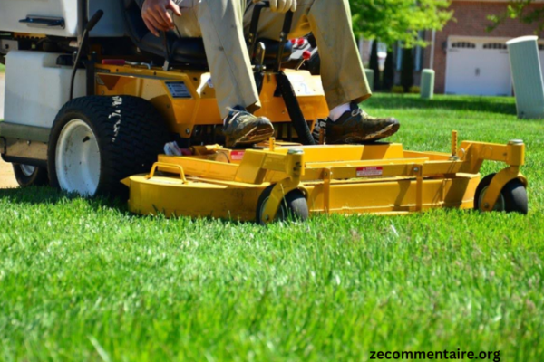 How to Choose the Right Lawn Service for Your Specific Needs
