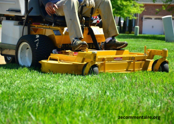 How to Choose the Right Lawn Service for Your Specific Needs