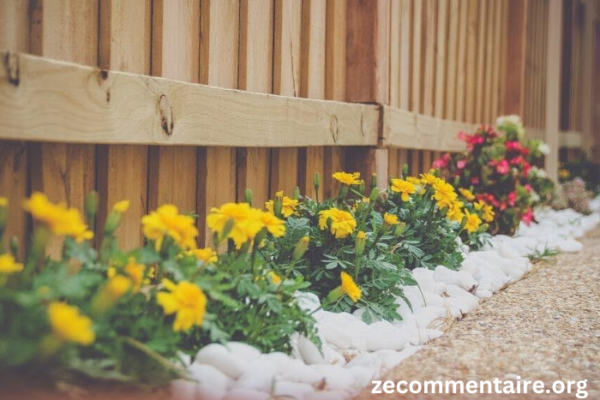 Transforming Your Outdoor Space: How Professional Landscaping Can Increase Your Property Value