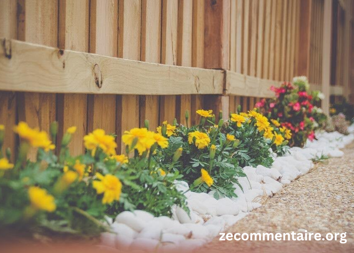 Transforming Your Outdoor Space: How Professional Landscaping Can Increase Your Property Value