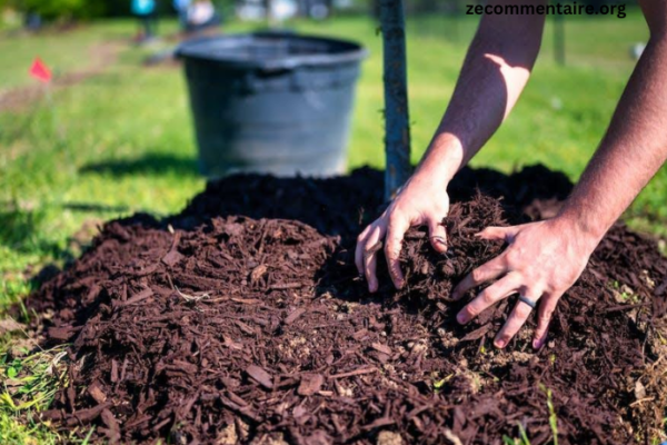 Reasons Lawn Mulch is Essential for Your Garden