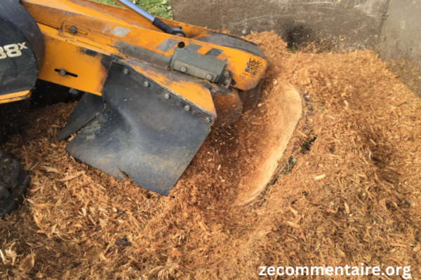 Preserving the Aesthetics and Safety of Your Landscape: Stump Grinding in Virginia