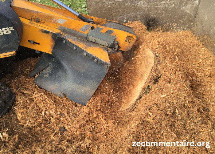 Preserving the Aesthetics and Safety of Your Landscape: Stump Grinding in Virginia