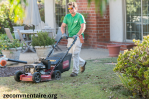 Top Tips for Professional Commercial Lawn Care Services