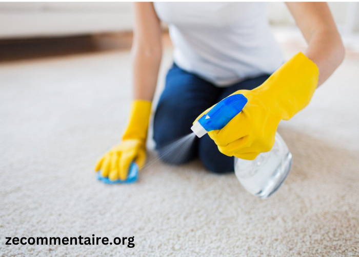 How to Choose the Best Expert Carpet Cleaning Company for Your Needs