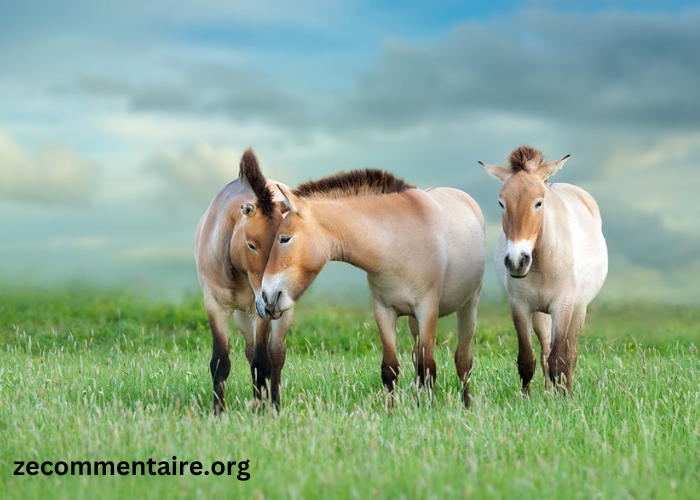 From Wild Mustangs to Thoroughbreds: The Fascinating World of Horse Breeds and Their Histories