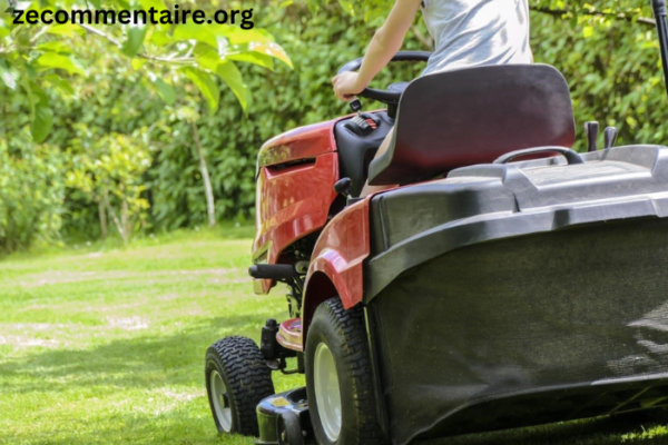 Breaking Down the Types of Lawn Treatments: What Your Yard Really Needs