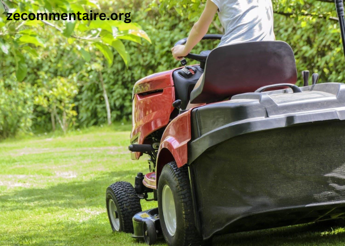 Breaking Down the Types of Lawn Treatments: What Your Yard Really Needs