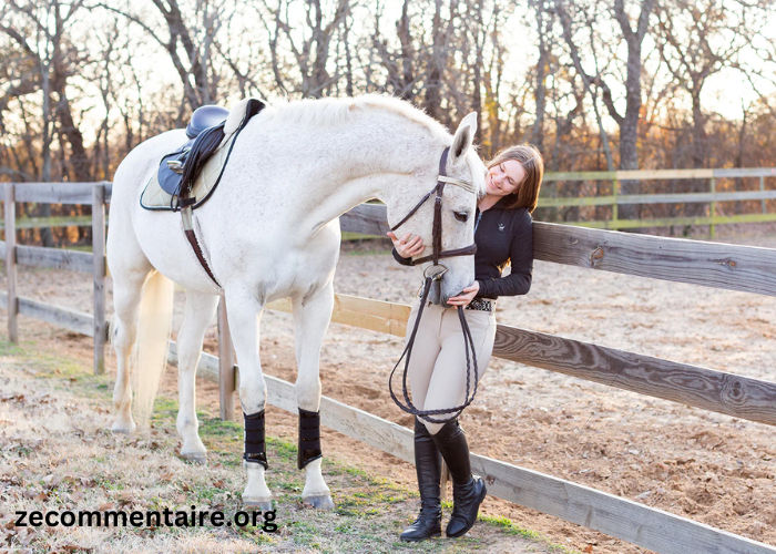 Majestic Hooves: Exploring the World of Horses