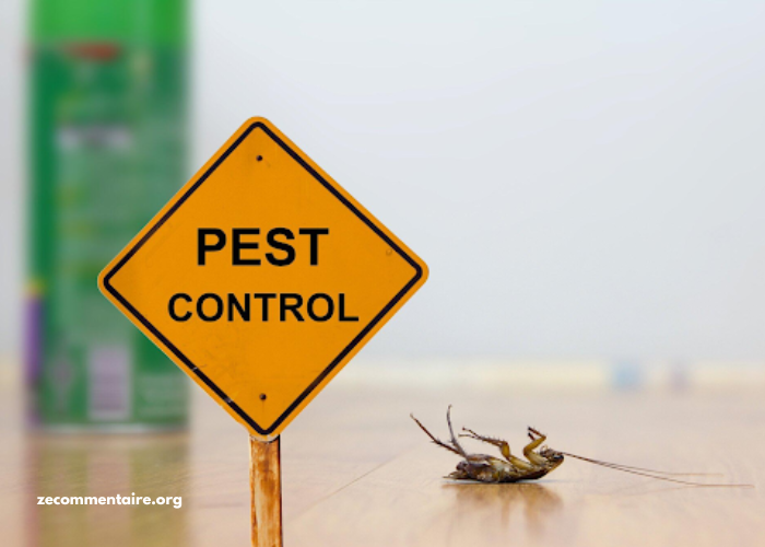 The Importance of Perimeter Pest Control for a Healthy Yard and Home