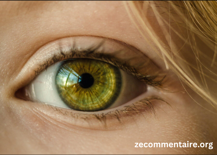 The Ultimate Guide to LASIK Eye Surgery: What You Need to Know