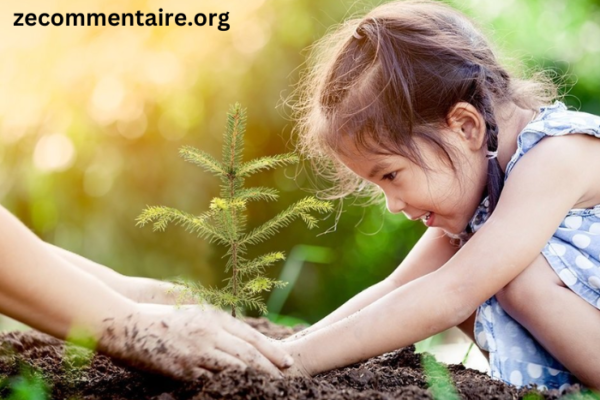 Celebrating Milestones and Anniversaries with Memorial Trees