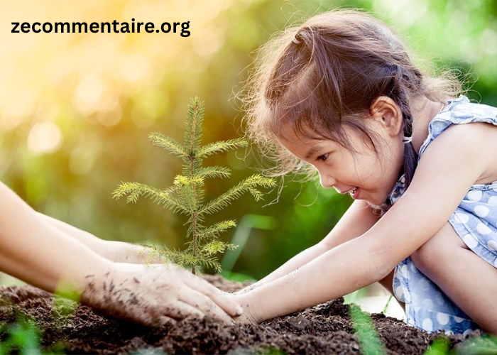 Celebrating Milestones and Anniversaries with Memorial Trees