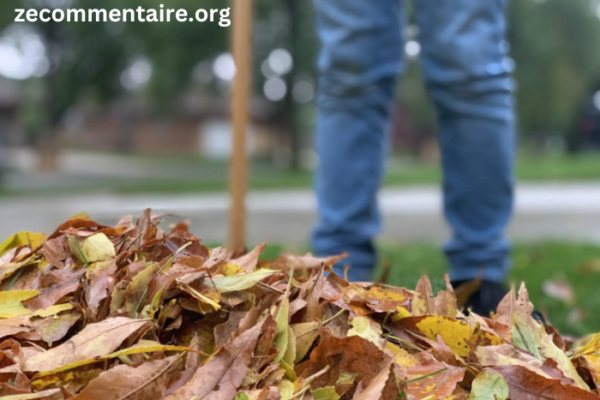 The Ultimate Guide to Grass and Leaf Care: Tips for a Lush Landscape