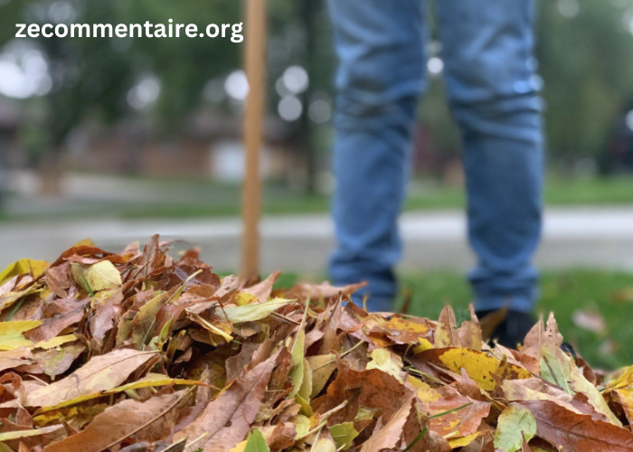 The Ultimate Guide to Grass and Leaf Care: Tips for a Lush Landscape